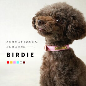 【日本製】犬 首輪 名入れ 猫 おしゃれ セット 柔らかい かわいい ハーネス ブランド 小型犬 中型犬 おしゃれ カラー シンプル 多頭 軽い 高強度 つけやすい 軽量 災害 グッズ 柴犬 フレンチブルドック チワワ トイプードル 23 28 プチID