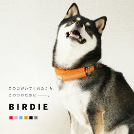 【日本製】犬 首輪 猫 柔らかい かわいい セット ハーネス ブランド 小型犬 中型犬 大型犬 おしゃれ カラー シンプル 多頭 軽い つけやすい 高強度 軽量 災害 グッズ 柴犬 フレンチブルドック チワワ トイプードル S M L ラッセルクッション