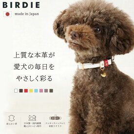 【期間限定クーポン配布】【日本製】犬 首輪 猫 おしゃれ セット 柔らかい かわいい ハーネス ブランド 小型犬 中型犬 おしゃれ カラー シンプル 多頭 軽い 高強度 軽量 災害 グッズ 柴犬 フレンチブルドック チワワ トイプードル マルチーズ SS S M