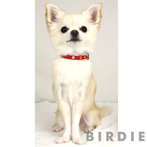 y{z   p  Zbg _炩 킢 n[lX uh ^ ^  J[ Vv  y x y ЊQ ObY Č t`uhbN `