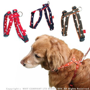 y{z  n[lX ^ 킢  Ȃ Eɂ qh~ p  ^ ^ uh  y x _炩 y ЊQ ObY Č t`uhbN 