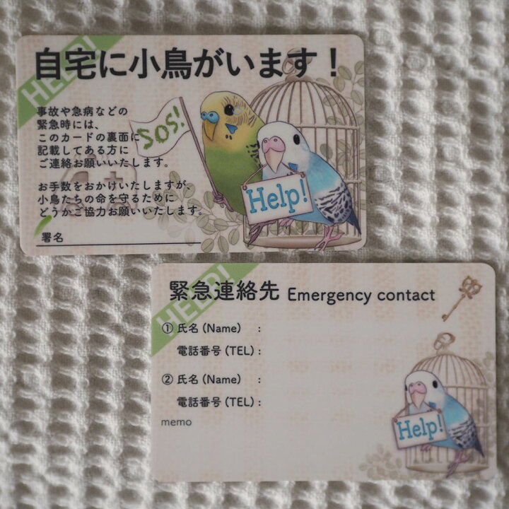 楽天市場】楓工房 緊急連絡先カード・セキセイインコ セキセイインコ 