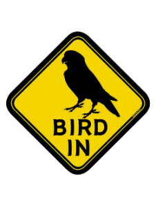 BMIWi BIRD@IN@XebJ[@RUN 9992056 lR|X Ή\