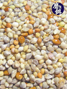 CR  ؂̖a@500g BIRDMORE o[hA pi ObY  Ƃ g GT a t[h  ͂  RUN ER TUi~ E IE 9992984