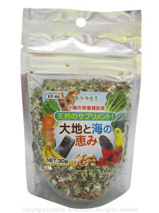 NZ Rh錾 nƊČb 30g 9995022 BIRDMORE o[hA  Ƃ g a  GT t[h ͂ CR IE  ybgt[h ybg