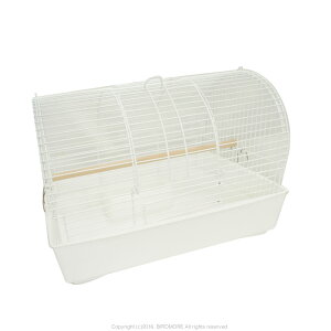 HOEI ~jAA[` L[ zCg 9995991@ i BIRDMORE o[hA pi ObY  Ƃ g CR ʉ@ U  ꏏ j