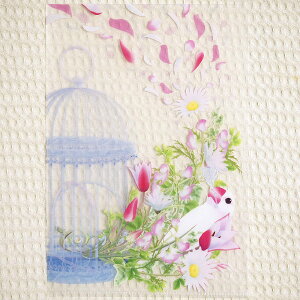 H[ A5NAt@CEt E 202A0213lR|X Ή\ i BIRDMORE o[hA CRAFT GARDEN pi ObY G  Ƃ v[g j