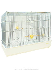  P[W Ƃ肩  o[hQ[W HOEI 580 ̂ Ch 9995464@ P[W  pi ObY CR Ƃ g o[hA