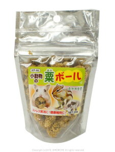 NZ Rh錾 {[@20g 7770017 ( BIRDMORE o[hA  Ƃ g a  GT t[h ͂ CR IE  ybgt[h ybgj