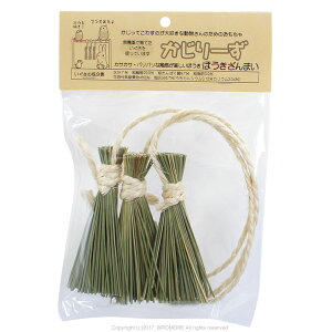 [ ق܂ 9996570@( BIRDMORE o[hA pi ObY @CR@IE@@tB`@@@R@Rf v[g )