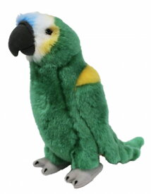 楽天市場 アオボウシインコの通販