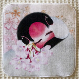 H[ ~j^IE E 202A0231 lR|XΉ \ BIRDMORE o[hA pi ObY G  Ƃ v[g