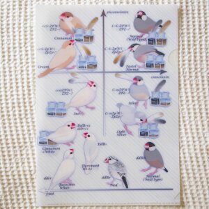 ���H�[ A4 �N���A �t�@�C�� �E �H�F��` ���� �E���i�� 202A0243�l�R�|�X �Ή��\ �i BIRDMORE �o�[�h���A CRAFT GARDEN ���p�i ���O�b�Y �G�� �� �Ƃ� �v���[���g �j