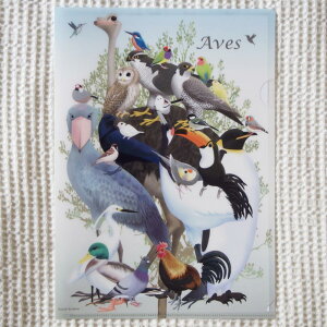 H[ A4 NA t@C Ěn Aޑ 202A0263@lR|X Ή\@( BIRDMORE o[hA CRAFT GARDEN pi ObY G ObY  Ƃ g CR v[g )