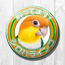 楽天市場 シロハラ インコ グッズの通販