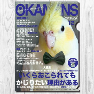 TOMO YAMASHITA DESIGN STUDIO. A4NAt@C@IJY 12 u lN^C v 195A0214 lR|X Ή\@( BIRDMORE o[hA CRAFT GARDEN pi ObY G ObY  Ƃ g CR v