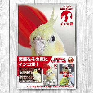 TOMO YAMASHITA DESIGN STUDIO. CR}Oe@|XgJ[h3Zbg 195A0219 lR|X Ή\@( BIRDMORE o[hA CRAFT GARDEN pi ObY G ObY  Ƃ g CR v[g )
