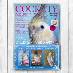 TOMO YAMASHITA DESIGN STUDIO. IJCR G V[Y Vol.1@|XgJ[h3Zbg 195A0220 lR|X Ή\@( BIRDMORE o[hA CRAFT GARDEN pi ObY G ObY  Ƃ g CR 
