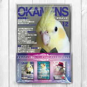 TOMO YAMASHITA DESIGN STUDIO. IJCRGV[YYVol.2@|XgJ[h3Zbg 195A0221 lR|X Ή\@( BIRDMORE o[hA CRAFT GARDEN pi ObY G ObY  Ƃ g CR 