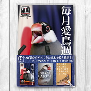 TOMO YAMASHITA DESIGN STUDIO. �t�B���`�}�@�|�X�g�J�[�h3���Z�b�g 195A0228 �l�R�|�X �Ή��\�@( BIRDMORE �o�[�h���A CRAFT GARDEN ���p�i ���O�b�Y �G�� �O�b�Y �� �Ƃ� �g�� �C���R �v���[���g )