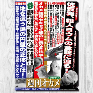 TOMO YAMASHITA DESIGN STUDIO. A4�N���A�t�@�C���@�T���I�J�� �u �n���� �v�@ 195A0232 �l�R�|�X �Ή��\�@( BIRDMORE �o�[�h���A CRAFT GARDEN ���p�i ���O�b�Y �G�� �O�b�Y �� �Ƃ� �g�� �C���R �v���[���g )