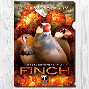 TOMO YAMASHITA DESIGN STUDIO. A4クリアファイル フィンチ党 「 爆発 フィンチ 」 195A0236 ネコポス 対応可能 ( BIRDMORE バードモア CRAFT GARDEN 鳥用品 鳥グッズ 雑貨 グッズ 鳥 とり トリ インコ プレゼ