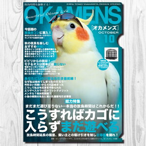 TOMO YAMASHITA DESIGN STUDIO. A4�N���A�t�@�C���@�I�J�����Y 10���� �u ��������΃J�S�ɓ��炸�܂��V�ׂ� �v 195A0252 �l�R�|�X�Ή� �\�@ BIRDMORE �o�[�h���A CRAFT GARDEN ���p�i ���O�b�Y �G�� �O�b�Y 