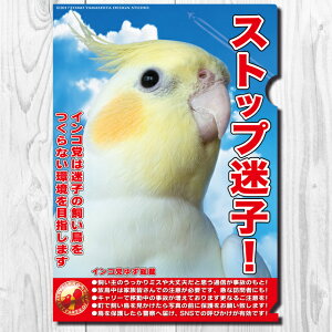 TOMO YAMASHITA DESIGN STUDIO. A4NAt@C@CR} u Xgbvq v 195A0261 lR|X Ή\@( BIRDMORE o[hA CRAFT GARDEN pi ObY G ObY  Ƃ g CR v[g