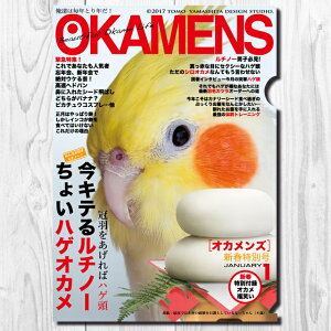 TOMO YAMASHITA DESIGN STUDIO. A4NAt@C@IJY1 uLe郋`m[v 195A0262 lR|X Ή\@( BIRDMORE o[hA CRAFT GARDEN pi ObY G ObY  Ƃ g CR 