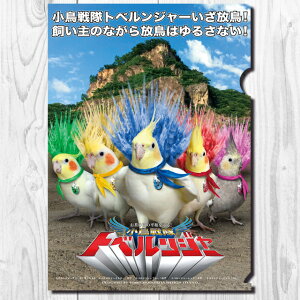 TOMO YAMASHITA DESIGN STUDIO. A4クリアファイル 小鳥戦隊トベルンジャー 「 爆煙 トベルンジャー 」 195A0287 ネコポス 対応可能 ( BIRDMORE バードモア CRAFT GARDEN 鳥用品 鳥グッズ 雑貨 グッズ 鳥 とり