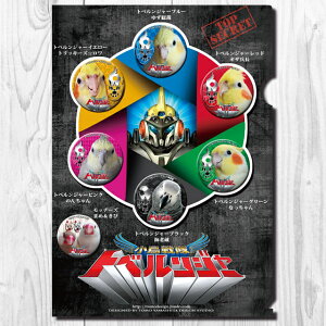 TOMO YAMASHITA DESIGN STUDIO. A4�N���A�t�@�C���@��������g�x�����W���[ �u �Ђ݂� �t�@�C�� �v 195A0288 �l�R�|�X �Ή��\�@( BIRDMORE �o�[�h���A CRAFT GARDEN ���p�i ���O�b�Y �G�� �O�b�Y �� �Ƃ� �g�� 