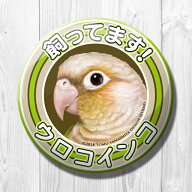 TOMO YAMASHITA DESIGN STUDIO. 飼ってます缶バッジ　 「 ウロコインコ シナモン 」 195A0327 ネコポス対…