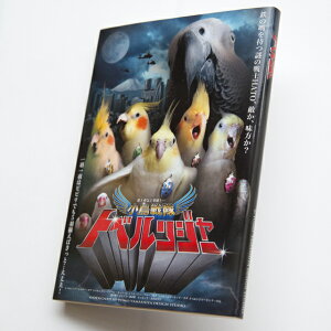 TOMO YAMASHITA DESIGN STUDIO.  gxW[@S̚{@195A0352@ ( BIRDMORE o[hA CRAFT GARDEN ObY pi G  o[h v[g )