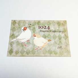 とっ・とっ・pi♪ 1024 Buncho's Anniversary ポストカード 白文鳥 197A0231 ネコポス 対応可能 （ BIRDMORE バードモア CRAFT GARDEN 鳥用品 鳥グッズ 雑貨 鳥 とり プレゼント ）