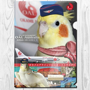 TOMOYAMASHITA DESIGN STUDIO. A4 NAt@C IJGAC 195A0373@ lR|X Ή\ ( BIRDMORE o[hA CRAFT GARDEN ObY pi G  o[h v[g )