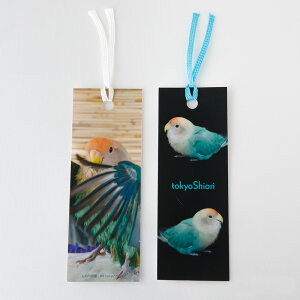 tokyoShiori 2g x 04 RUNCR 245A0251@lR|X Ή\ RUNCR ObY @( BIRDMORE o[hA CRAFT GARDEN pi ObY G  ObY  Ƃ g CR v[g )