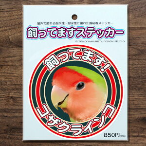 TOMO YAMASHITA DESIGN STUDIO. Ă܂XebJ[@RUNCR@195A0364@ lR|X Ή\@( BIRDMORE o[hA CRAFT GARDEN pi ObY G ObY  Ƃ g CR v[g )