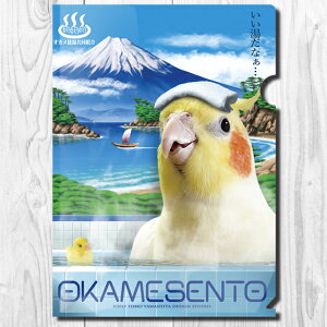 TOMO YAMASHITA DESIGN STUDIO. A4NA t@C@IJK@195A0366@ lR|X Ή\@( BIRDMORE o[hA CRAFT GARDEN pi ObY G ObY  Ƃ g CR v[g )