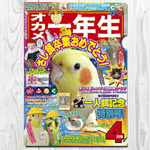 TOMO YAMASHITA DESIGN STUDIO. A4NAt@C@IJN 195A0382 lR|X Ή\@( BIRDMORE o[hA CRAFT GARDEN pi ObY G ObY  Ƃ g CR v[g )
