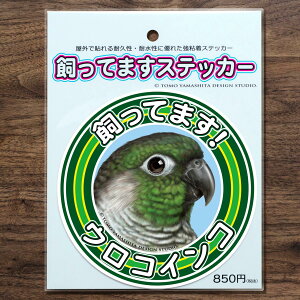 TOMO YAMASHITA DESIGN STUDIO. Ă܂XebJ[@ERCR@195A0383@ lR|X Ή\@( BIRDMORE o[hA pi ObY G ObY  Ƃ g CR v[g )