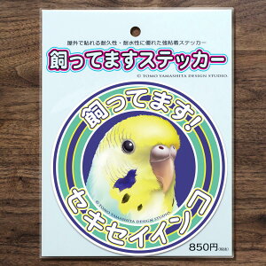 TOMO YAMASHITA DESIGN STUDIO. Ă܂XebJ[@ZLZCCR C{[ 195A0386@ lR|X Ή\@( BIRDMORE o[hA pi ObY G ObY  Ƃ g CR v[g )