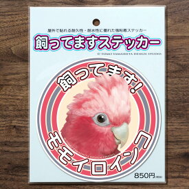 楽天市場 モモイロインコの通販