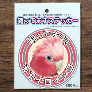 TOMO YAMASHITA DESIGN STUDIO. Ă܂XebJ[@CCR 195A0388@ lR|X Ή\@( BIRDMORE o[hA pi ObY G ObY  Ƃ g CR v[g )