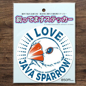 TOMO YAMASHITA DESIGN STUDIO. Ă܂XebJ[@ACu u`E XebJ[ 195A0391@ lR|X Ή\@( BIRDMORE o[hA pi ObY G ObY  Ƃ g CR v[