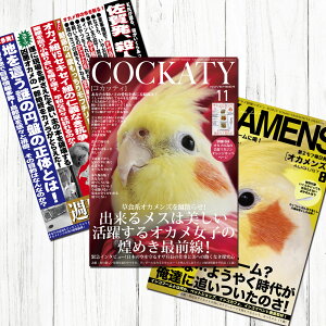 TOMO YAMASHITA DESIGN STUDIO. B3�|�X�^�[ �G���V���[�Y3 3���Z�b�g 195A0208 BIRDMORE �o�[�h���A CRAFT GARDEN ���p�i ���O�b�Y �G�� �� �Ƃ� �v���[���g