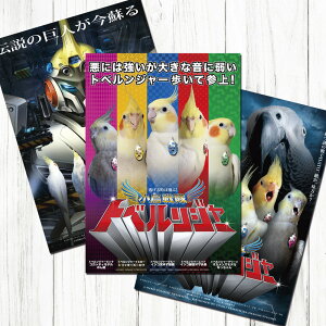 TOMO YAMASHITA DESIGN STUDIO. B3�|�X�^�[ �g�x�����W���[ 3���Z�b�g 195A0226 BIRDMORE �o�[�h���A CRAFT GARDEN ���p�i ���O�b�Y �G�� �� �Ƃ� �v���[���g