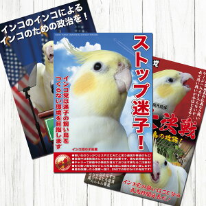 TOMO YAMASHITA DESIGN STUDIO. B3�|�X�^�[ �C���R�}3 3���Z�b�g 195A0253 BIRDMORE �o�[�h���A CRAFT GARDEN ���p�i ���O�b�Y �G�� �� �Ƃ� �v���[���g