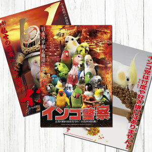 TOMO YAMASHITA DESIGN STUDIO. B3�|�X�^�[ �C���R�}4 3���Z�b�g 195A0316 BIRDMORE �o�[�h���A CRAFT GARDEN ���p�i ���O�b�Y �G�� �� �Ƃ� �v���[���g