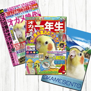TOMO YAMASHITA DESIGN STUDIO. B3�|�X�^�[ �G���V���[�Y5 3���Z�b�g 195A0392 BIRDMORE �o�[�h���A CRAFT GARDEN ���p�i ���O�b�Y �G�� �� �Ƃ� �v���[���g