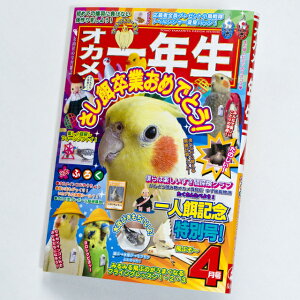 TOMO YAMASHITA DESIGN STUDIO.  IJ N@195A0403 lR|XΉ\ BIRDMORE o[hA ObY pi G  o[h v[g